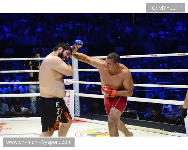 MMA地面过渡技巧成高水平分水岭